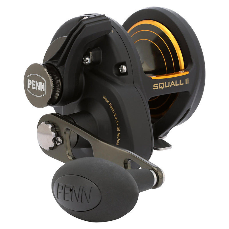 Load image into Gallery viewer, PENN Squall II Lever Drag SQLII25NLD Conventional Reel [1594613]
