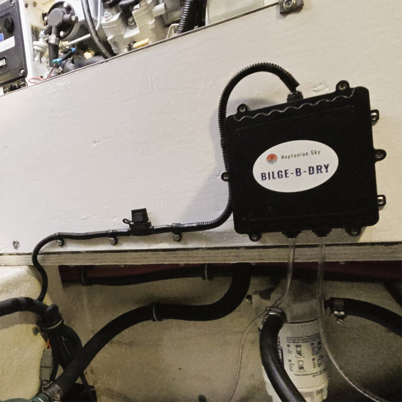 Load image into Gallery viewer, BILGE-B-DRY Single Pump - 12VDC [BBD-2025-121]
