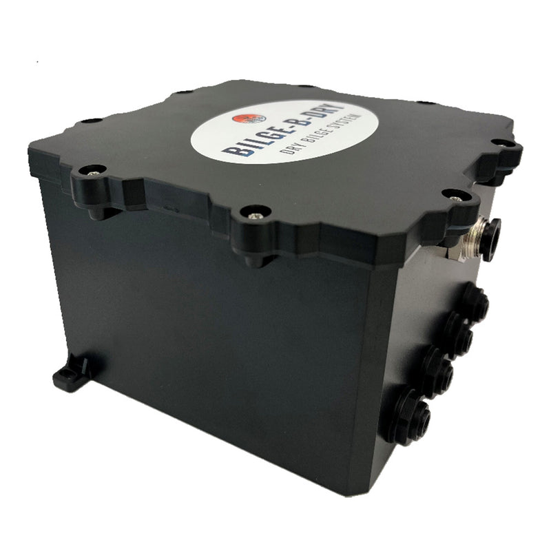 Load image into Gallery viewer, BILGE-B-DRY Quad Pump - 24VDC [BBD-2025-244]
