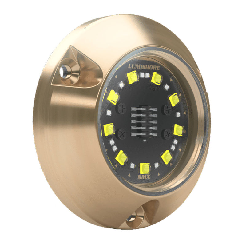 Load image into Gallery viewer, Lumishore ECLIPSE SMX24 Single Light Surface Mount Underwater Light - Blue [010-04501-00]
