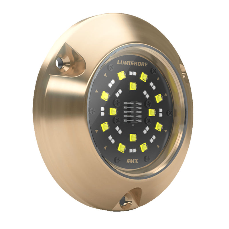 Load image into Gallery viewer, Lumishore ECLIPSE SMX54 Single Surface Mount Underwater - Light Blue/White [010-04505-00]
