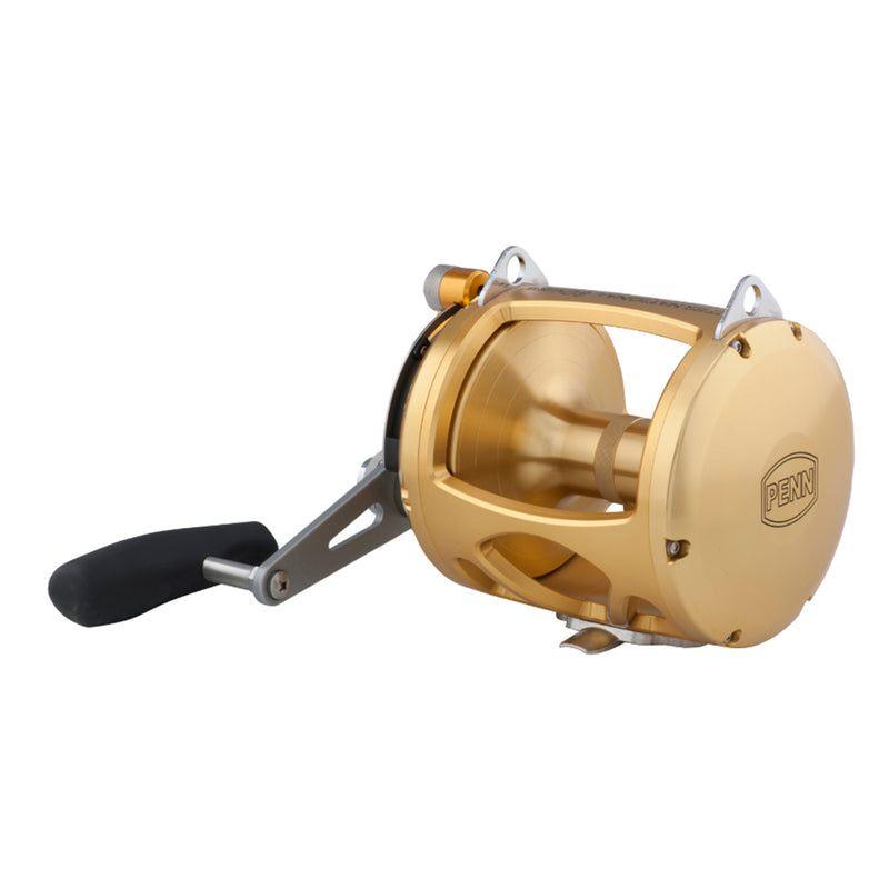 Load image into Gallery viewer, PENN International 80 VISW INT80VISW 2-Speed Conventional Reel - Gold [1370784]
