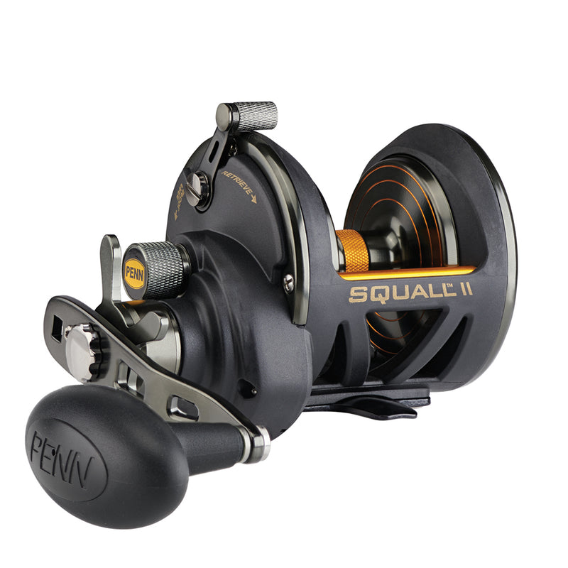 Load image into Gallery viewer, PENN Squall II Star Drag Conventional Reel - SQLII25NSD [1522169]
